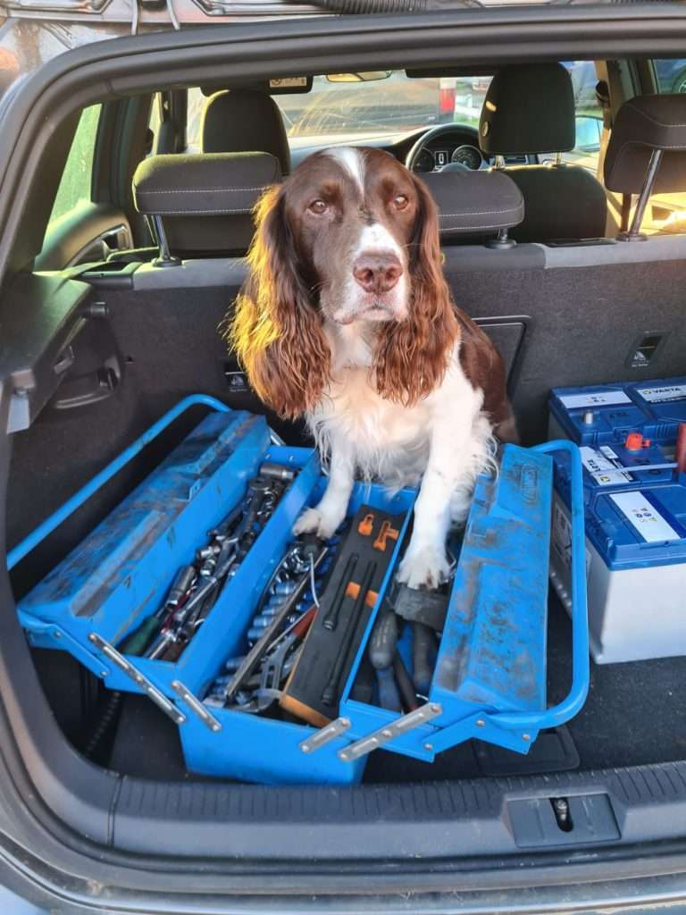 Scooby, VFR Motors' Mascot