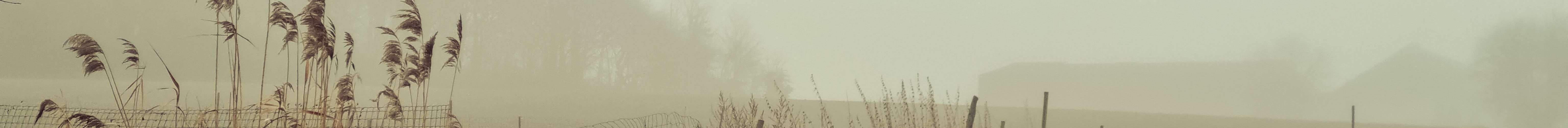 What damage can a pothole cause to your car?